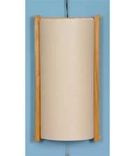 光催化粘捕式灭蚊器JZX-GB110-2